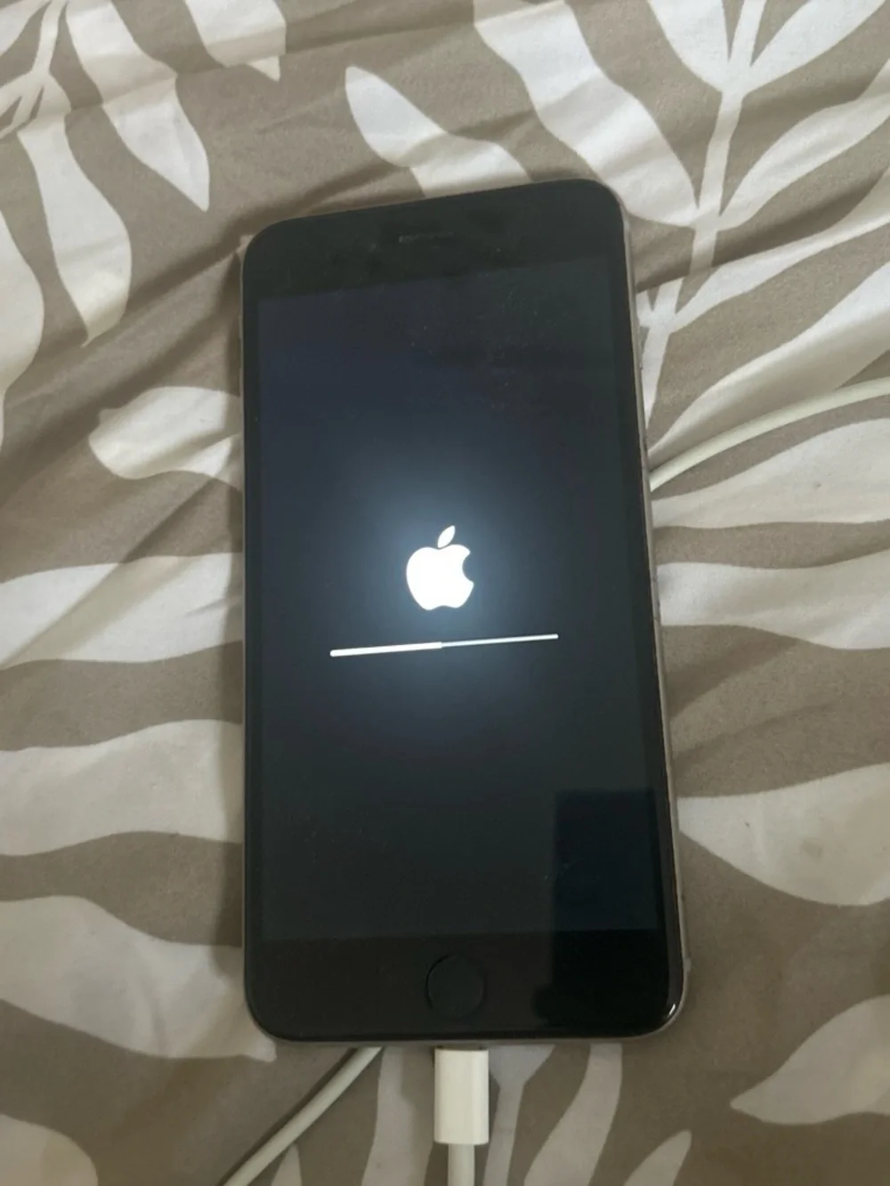 Apple Black iPhone with Lightning Charging